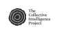 CIP Research Fellowship logo